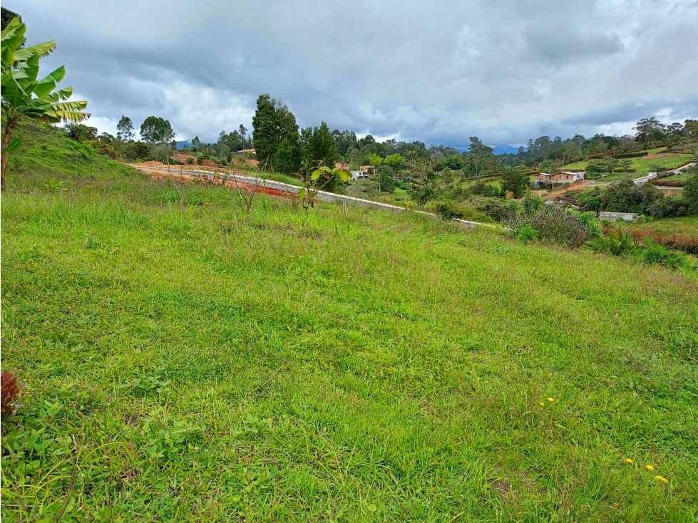 Lote en Venta, Sector San Antonio La Ceja, El Carmen — foto 5