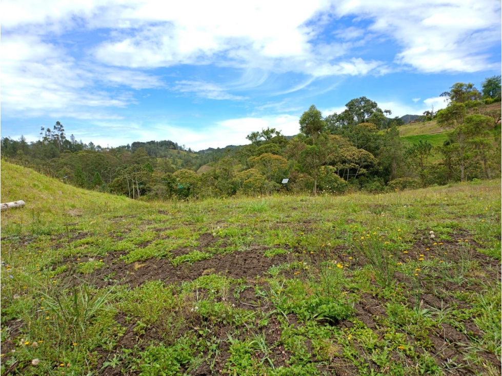 Lote en Venta Sector Pantanillo El Retiro — foto 5