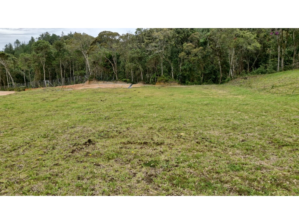Lote en Venta Sector Nuevo Alto de Palmas, Envigado — foto 5