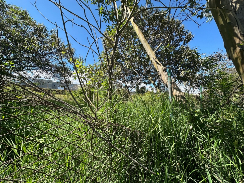 Lote en Venta Sector Sajonia, Rionegro — foto 5