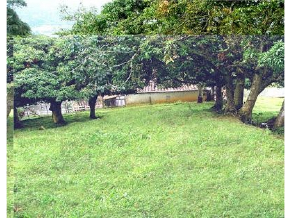 Lote en Venta Sector El Alvarado Copacabana — foto 5