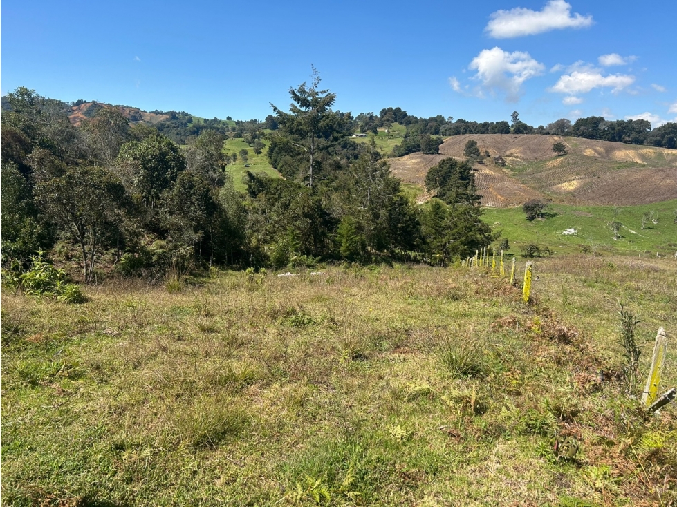 Lote en Venta Vereda el Espinal, San Pedro de Los Milagros — foto 5