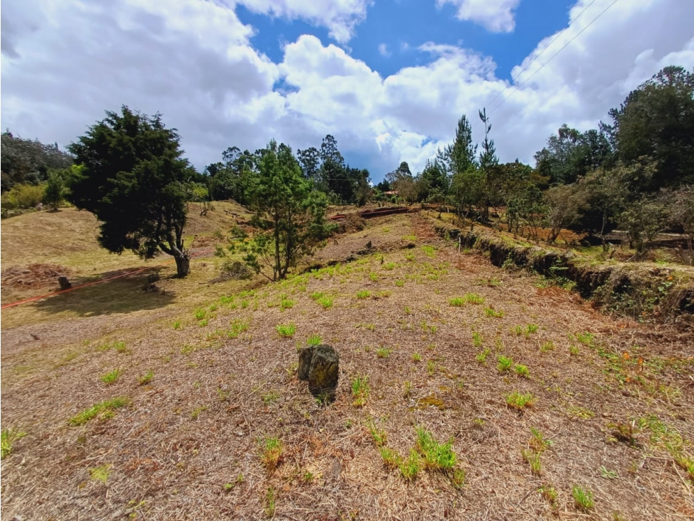 Lote en Venta Vereda Piedra Blancas, Guarne — foto 5
