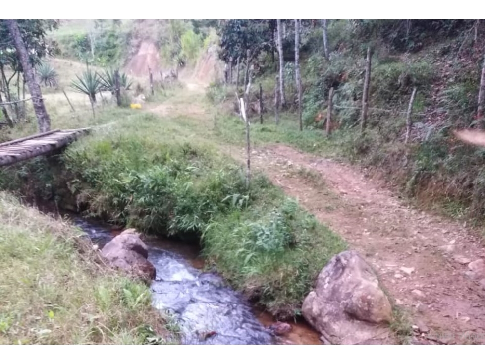 Casa Lote en Venta, Vereda Yolombal, Guarne — foto 5