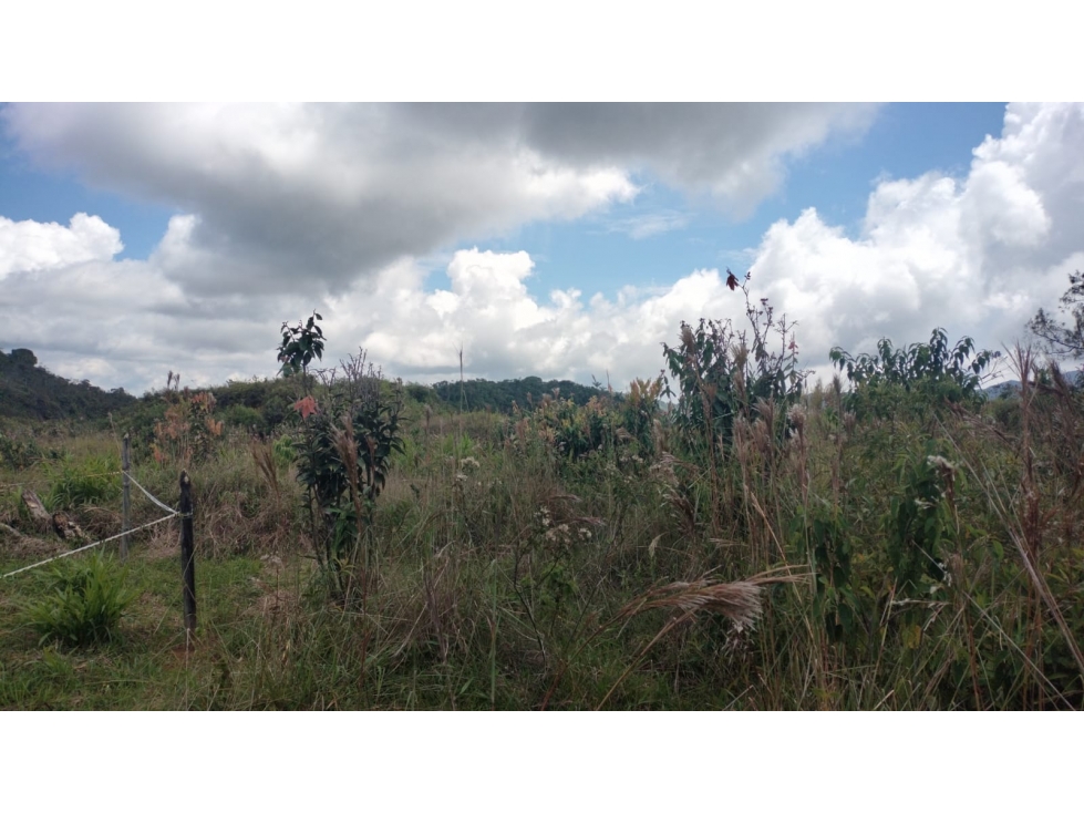 Lote en Venta con vista a La Represa, cerca a Guatapé — foto 2
