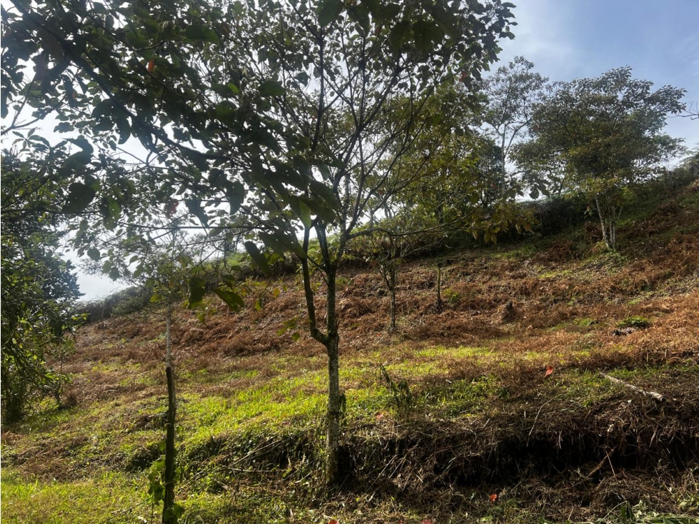 Lote en venta, sector San Joaquín, Ojo de Agua, Rionegro — foto 5