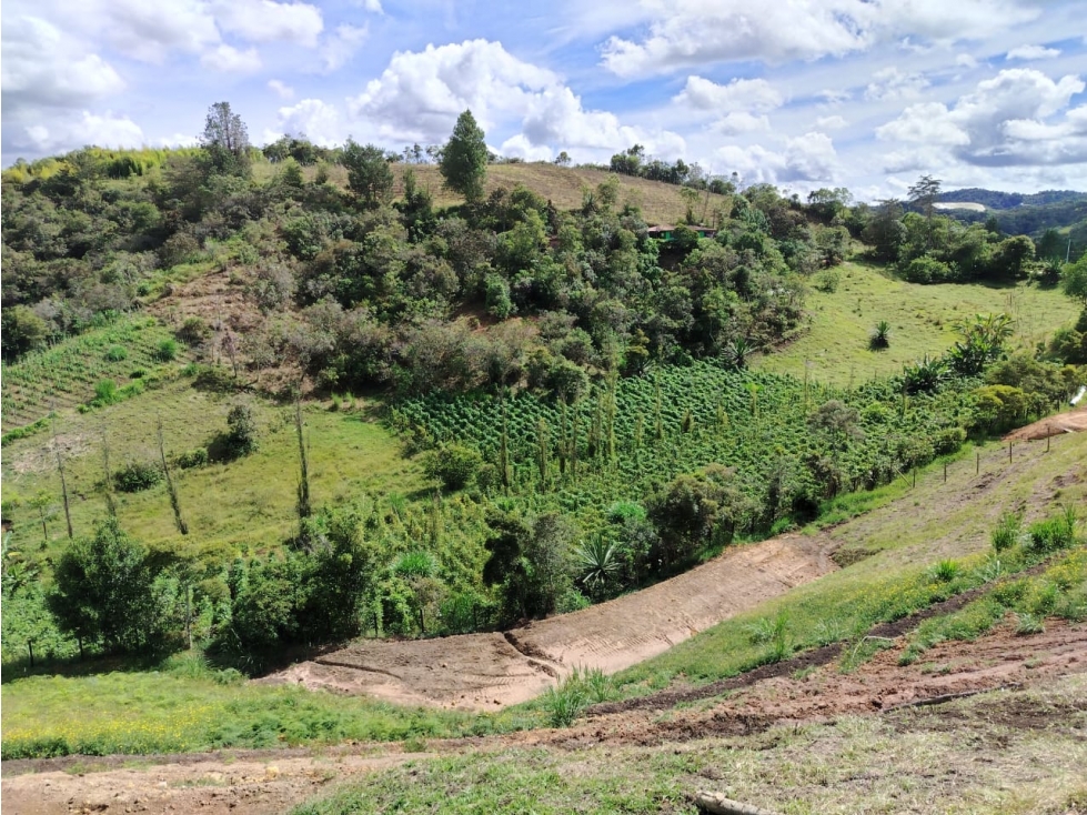 Precio destacado | Lote en venta sector La Compañía, San Vicente — foto 5