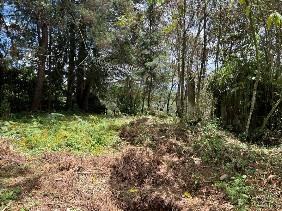 Lote campestre de 7.950 m² con explanación y fácil acceso Rionegro — foto 6