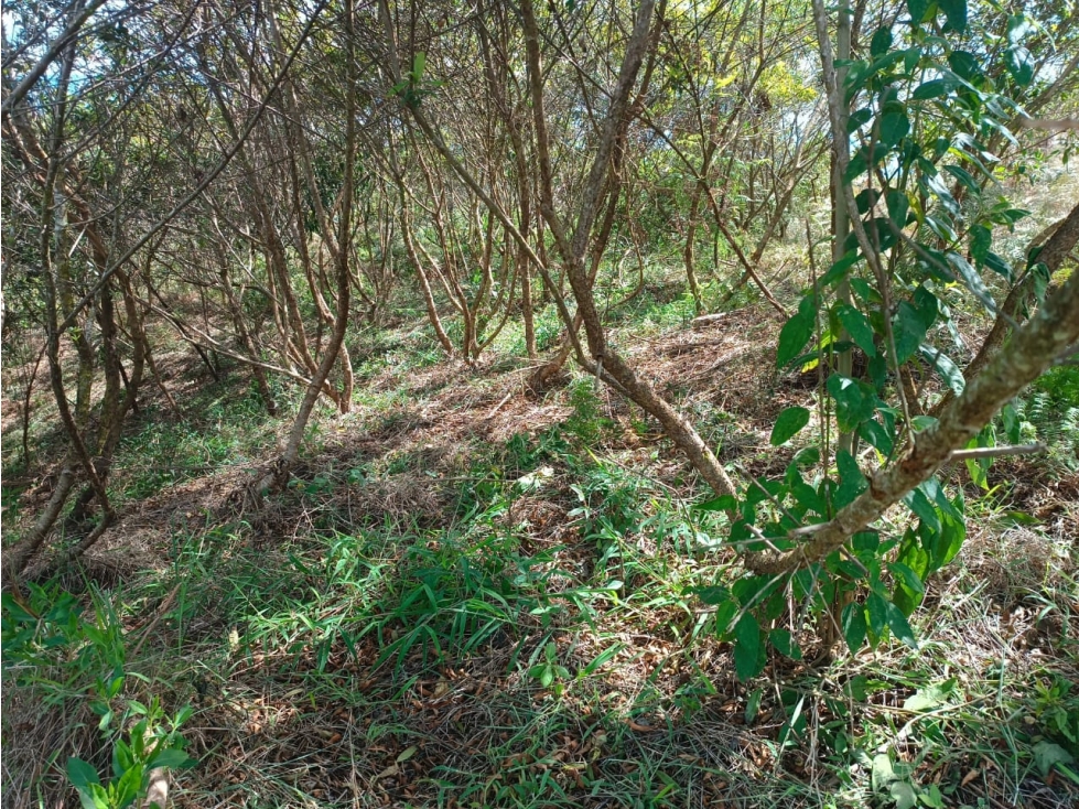 Lote en venta, vereda El Porvenir, San Vicente — foto 5