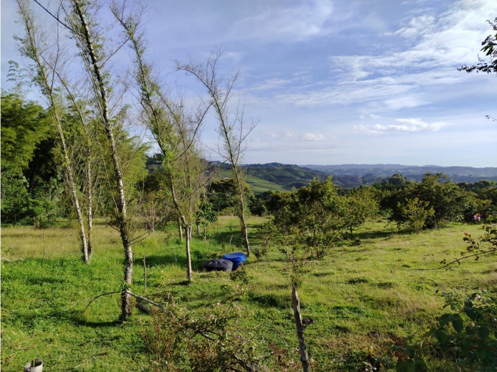Finca en venta, sector El Rosario, Marinilla — foto 5