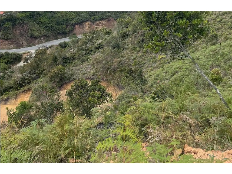 Lote en venta, vereda El Porvenir, San Vicente — foto 5