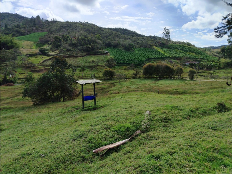 Lote en venta, sector La Magdalena, San Vicente — foto 5