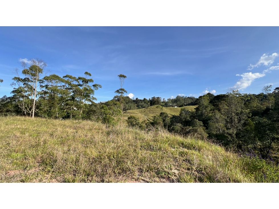 Lote en parcelación exclusiva en El Retiro Pantanillo — foto 5