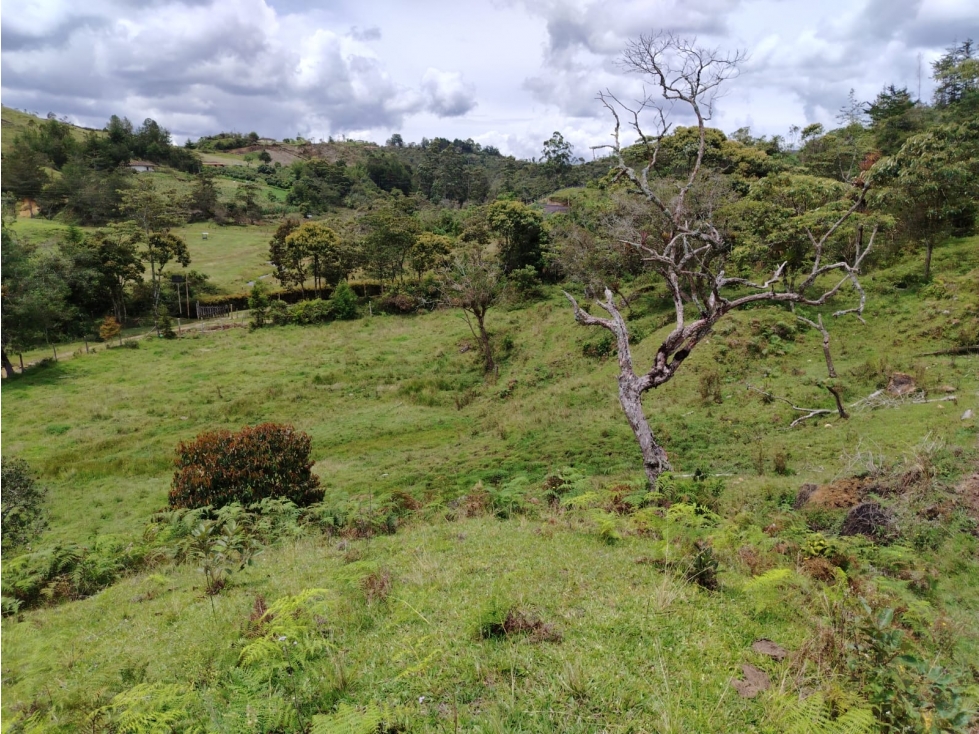 Lote en venta, sector La Magdalena, San Vicente — foto 5