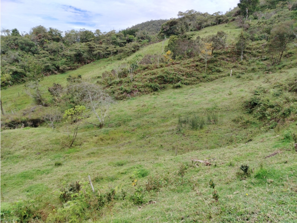 Lote con hermosa vista y agua natural en La Magdalena, San Vicente — foto 5