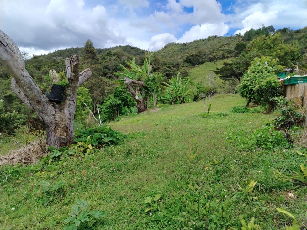 Casa lote en venta, sector La Magdalena, San Vicente — foto 6