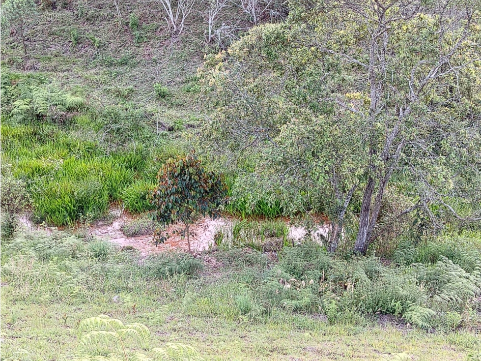 Lote en venta Sector El Rancherito, Guarne — foto 5