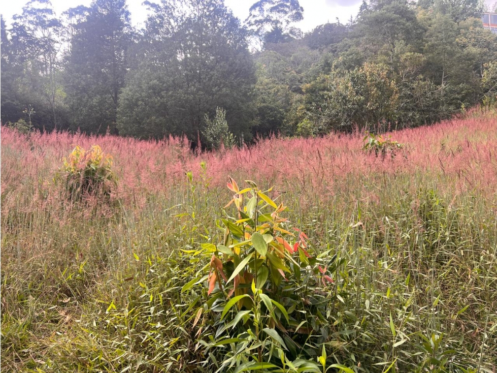Lote con vista al Valle de San Nicolás, cerca al aeropuerto — foto 5