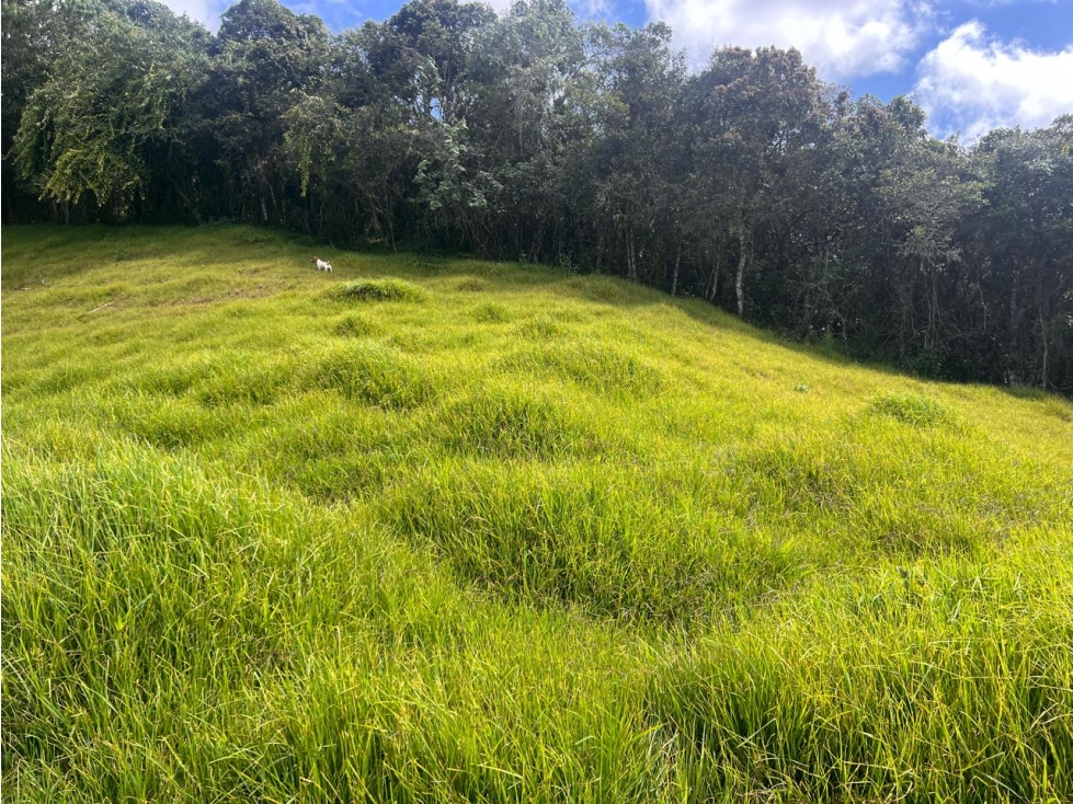 Lote en venta, vereda Altos de La Virgen, Guarne — foto 5