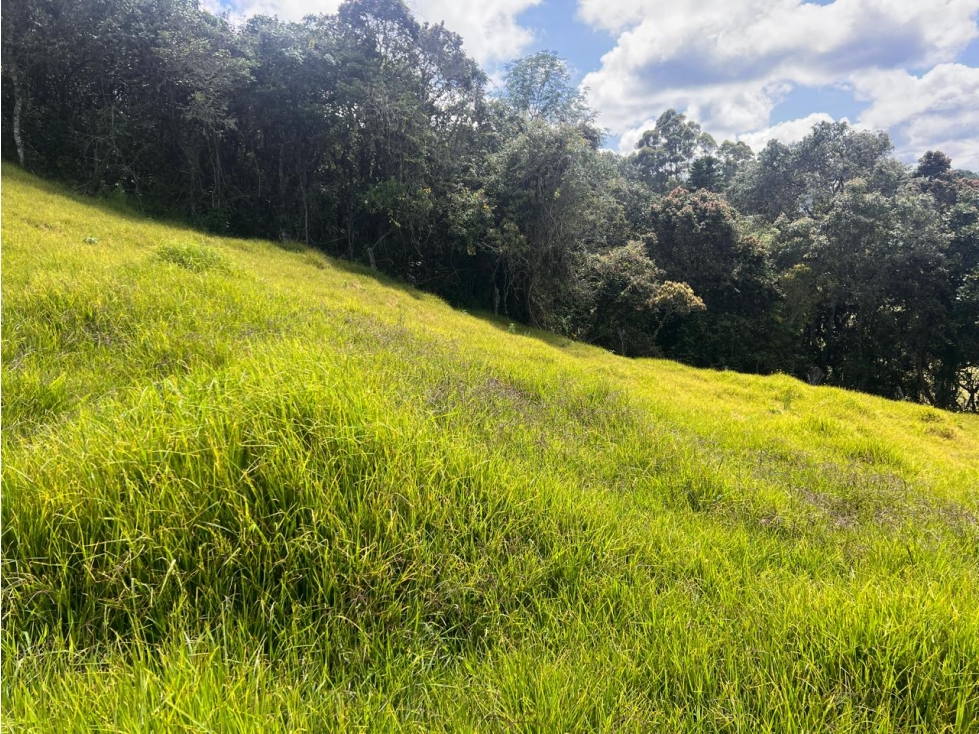 Oportunidad: lote de 2.500 m² con vista en Guarne — foto 5