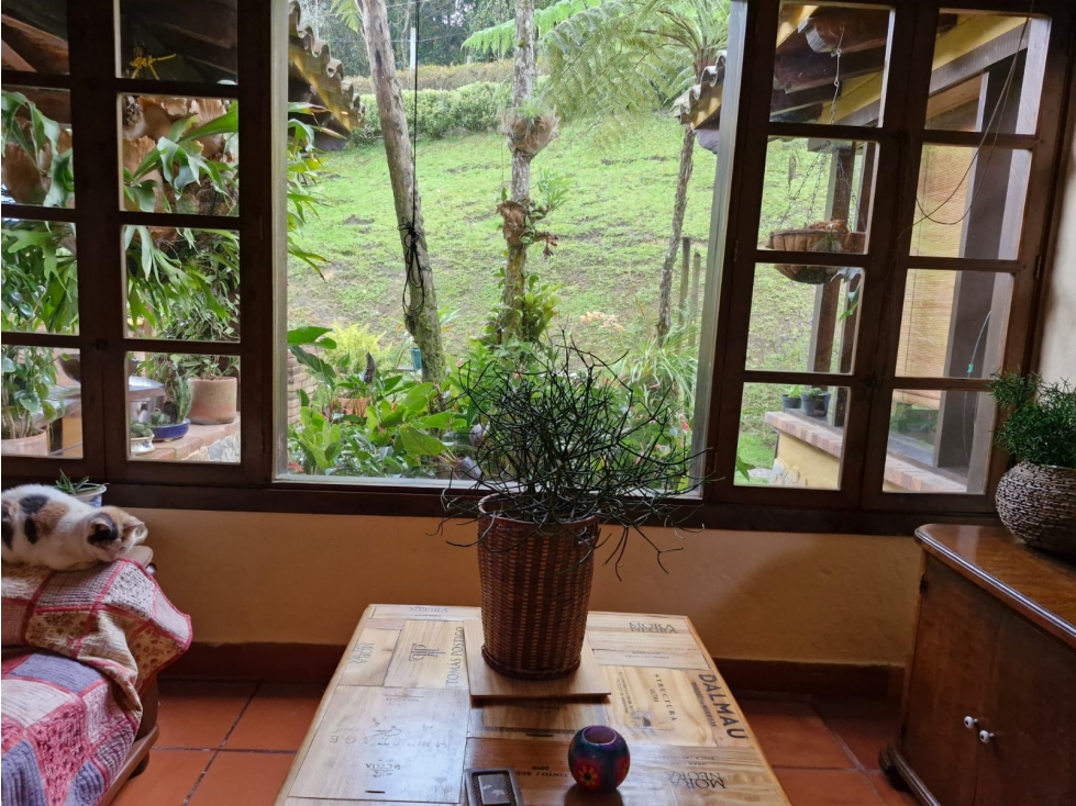 Casa campestre en venta y/o arriendo, sector Sajonia, Rionegro — foto 5