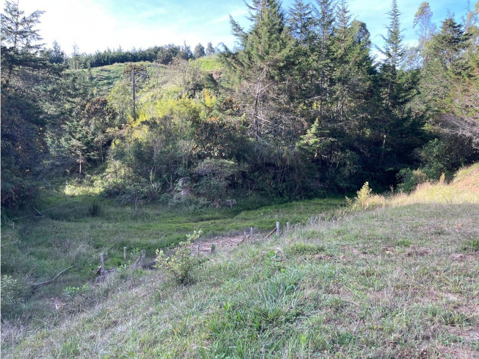 Lote en venta con dos explanadas, sector Pantanillo El Retiro - 5