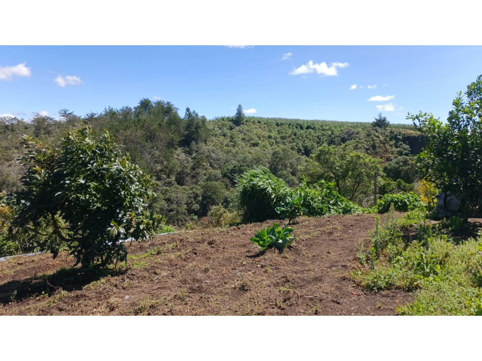 Finca agrícola en venta, con alto potencial productivo en San Vicente — foto 5