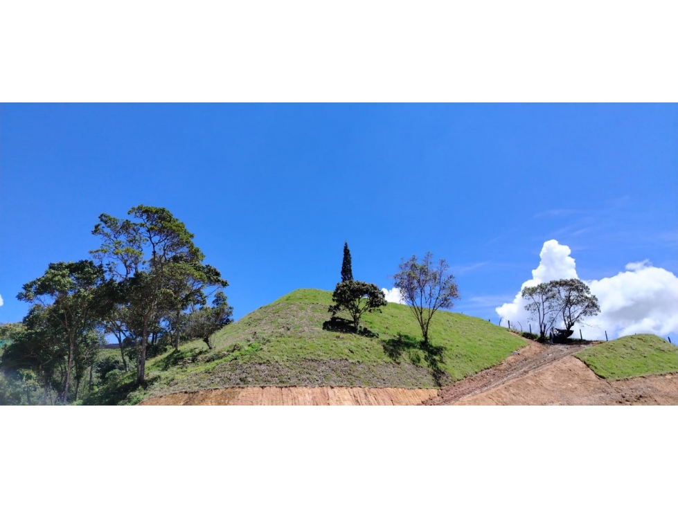 Lote en venta, sector Hojas Anchas, Guarne — foto 5