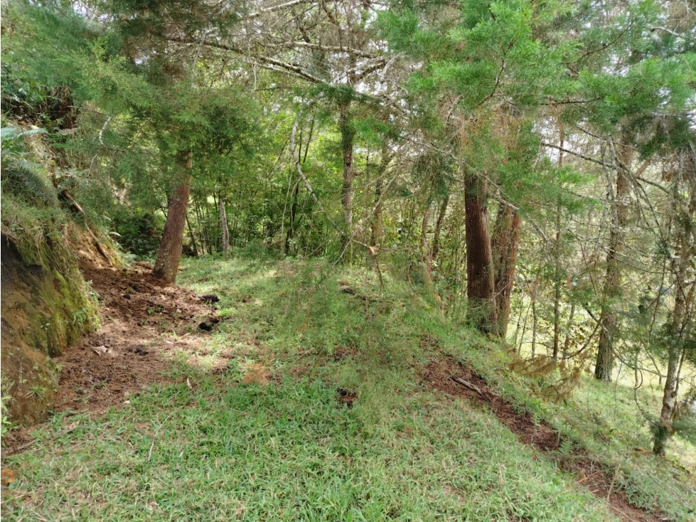 Finca en venta, sector Santa Ana, San Vicente — foto 5