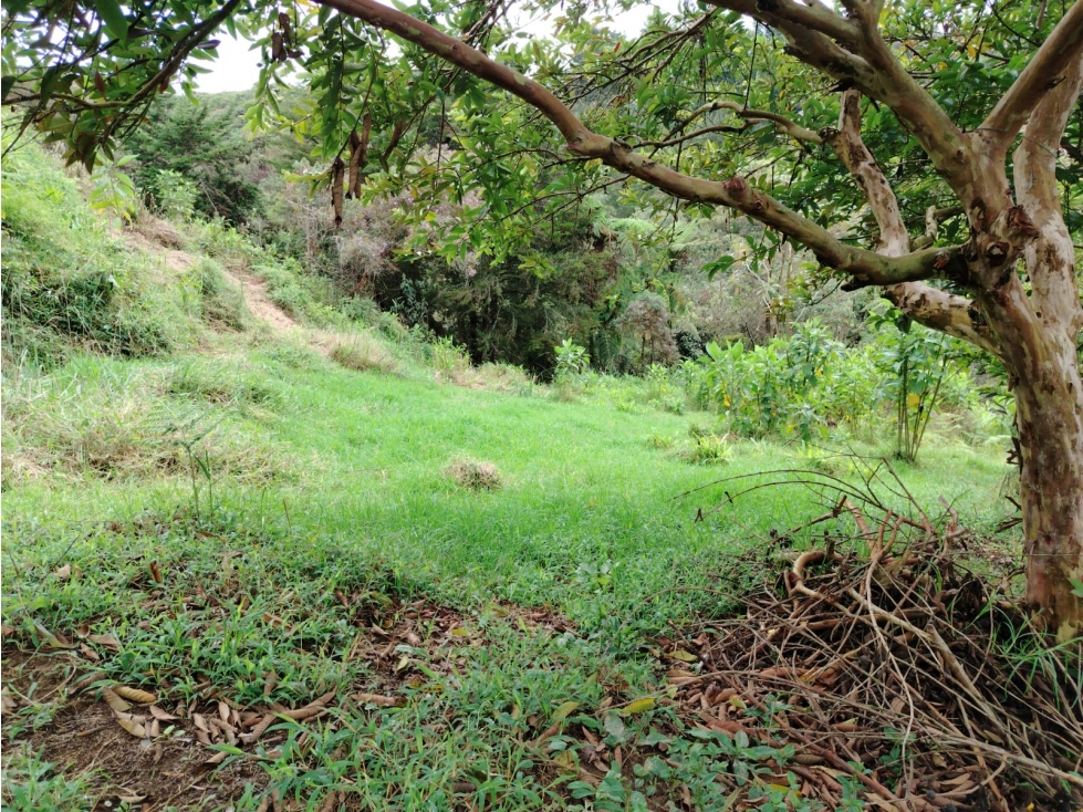 finca en venta sector el Porvenir, San Vicente — foto 5