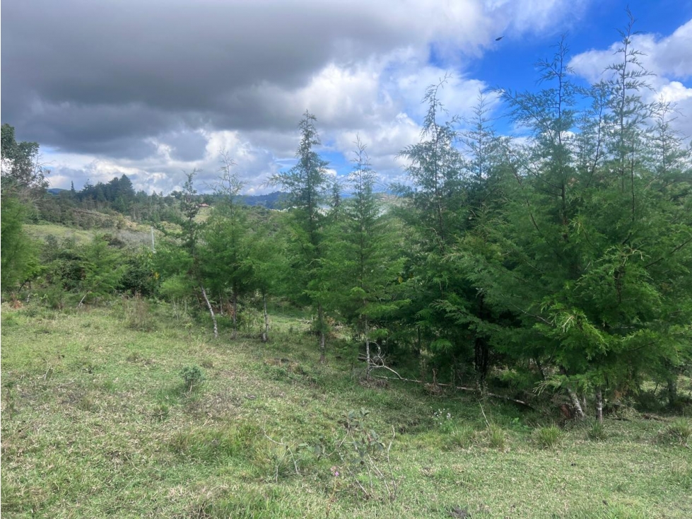 Lote en venta sector Las Cruces, San Vicente — foto 5