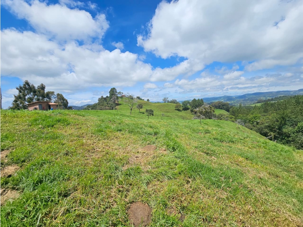 Lote en venta vereda Zafra, San Pedro de los Milagros — foto 5