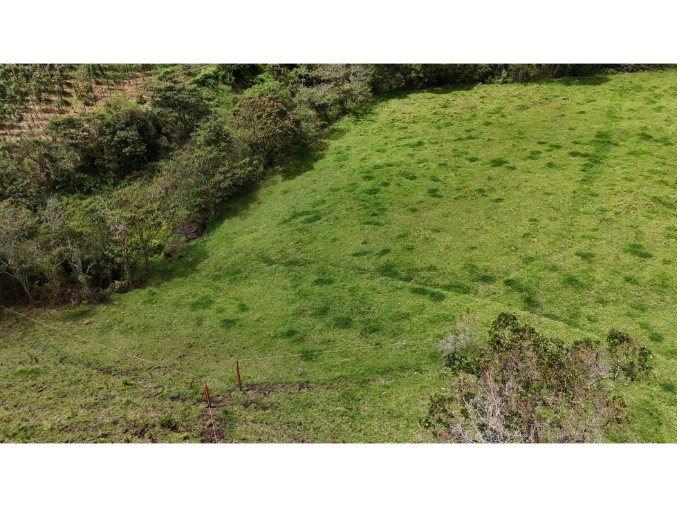 Lote campestre en condominio exclusivo Don Diego a La Ceja — foto 5