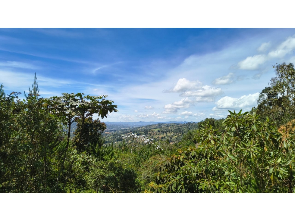 Lote en venta sector La Pastorcita, Guarne — foto 5
