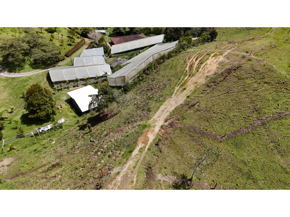 Lote en venta via don Diego La Ceja, El Retiro — foto 5
