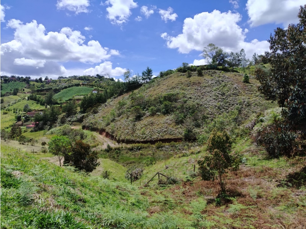 Lote campestre con bosque y vista San Vicente Ferrer — foto 5