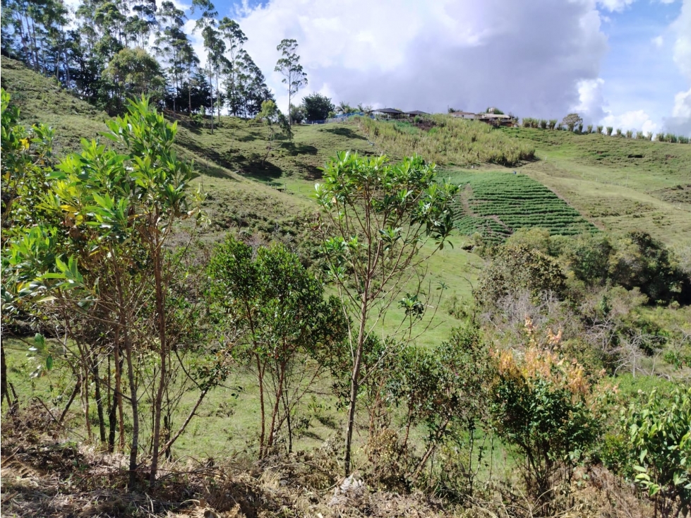 Lote campestre en venta, sector El Porvenir, San Vicente — foto 5