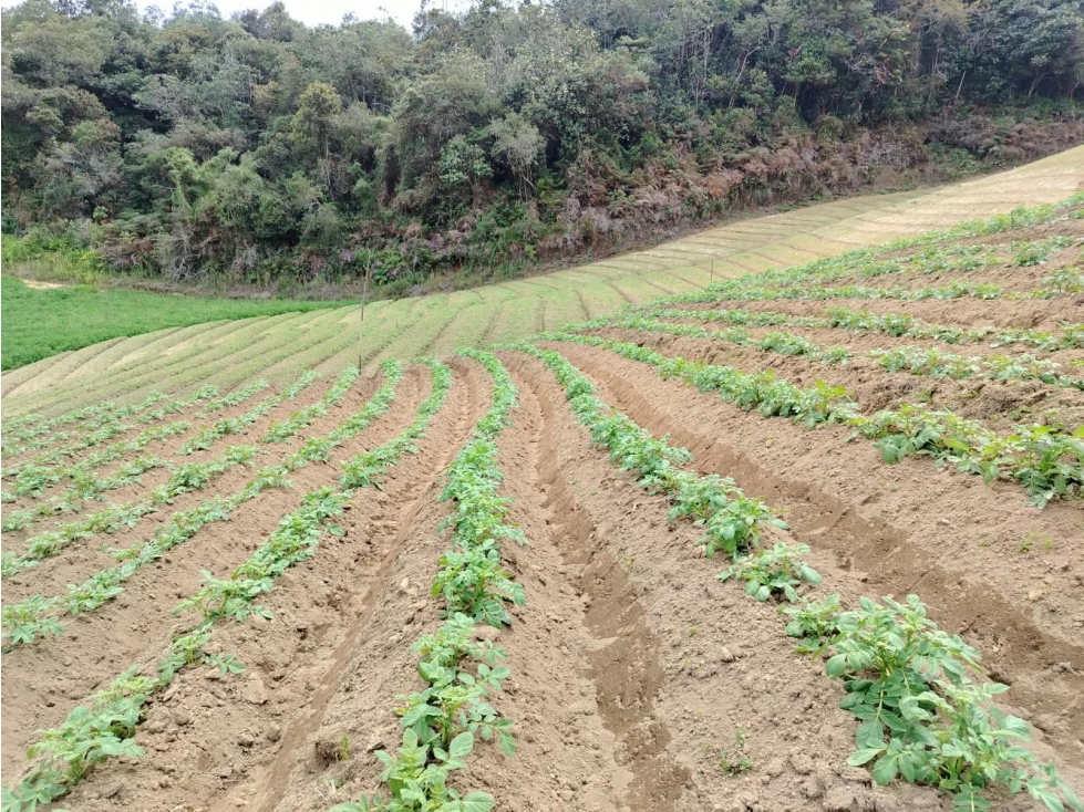 Casa lote agrícola en venta, sector bodegas, El Santuario - 6