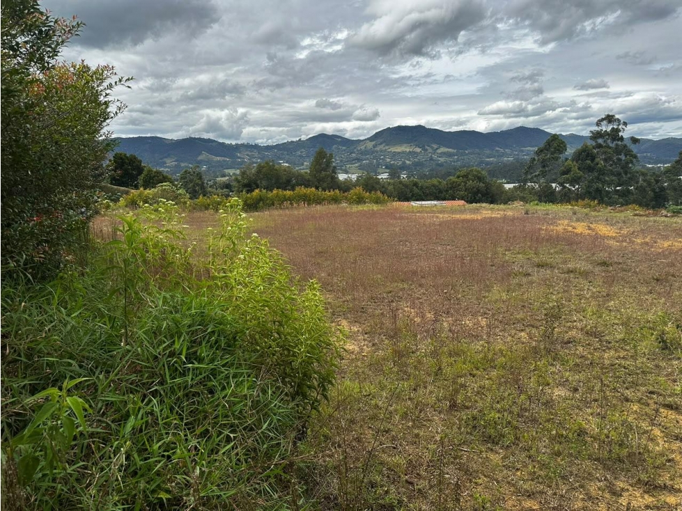 Lote campestre en venta vereda Guamito, La Ceja — foto 5
