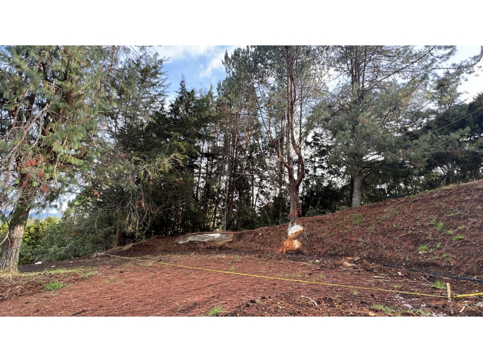Lote campestre en venta, Alto de Palmas, Envigado - 5