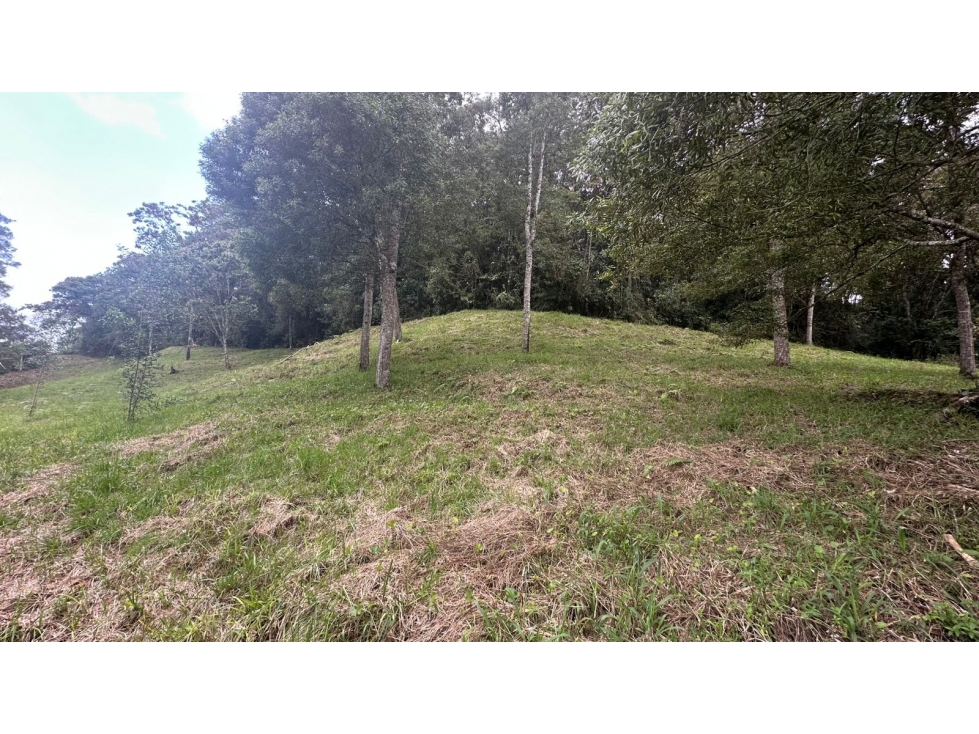 Lote campestre en venta, vía El Retiro La Ceja sector Pantanillo - 5
