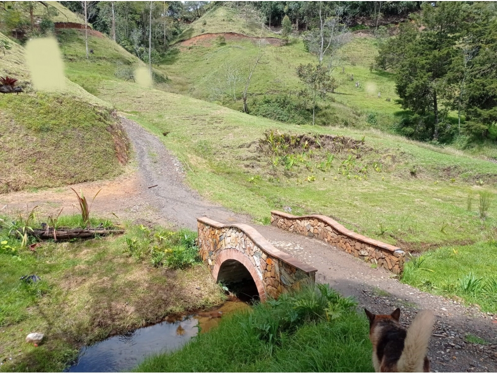 Lote en Venta Vía el Retiro - La Ceja en Pantanillo Parcelación Nueva
