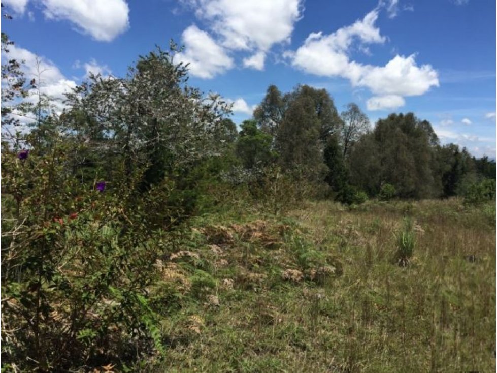 Lote en Venta sector Rancherías en Rionegro — foto 6