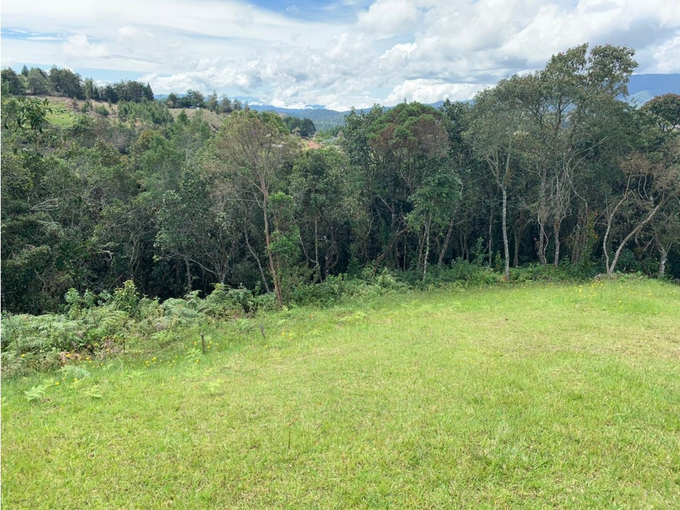 Lote en Venta en el Alto de Las Palmas — foto 6