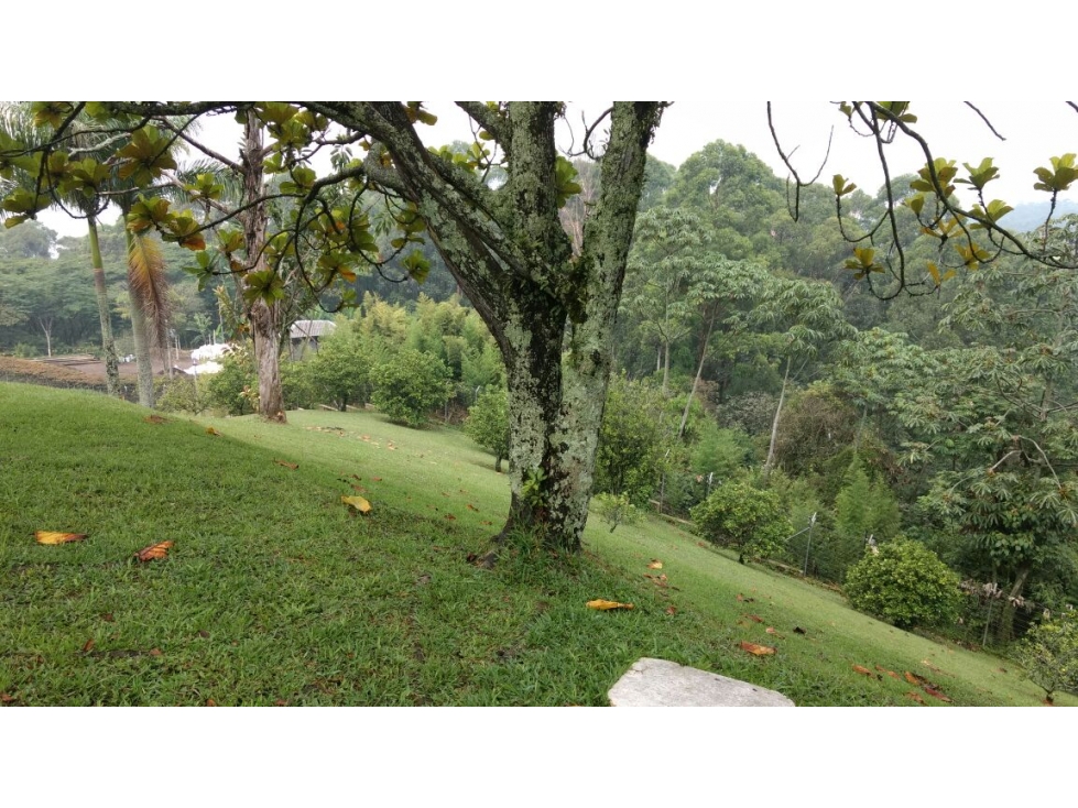Lote en Venta sector Las Palmas - El Poblado en Medellín — foto 2