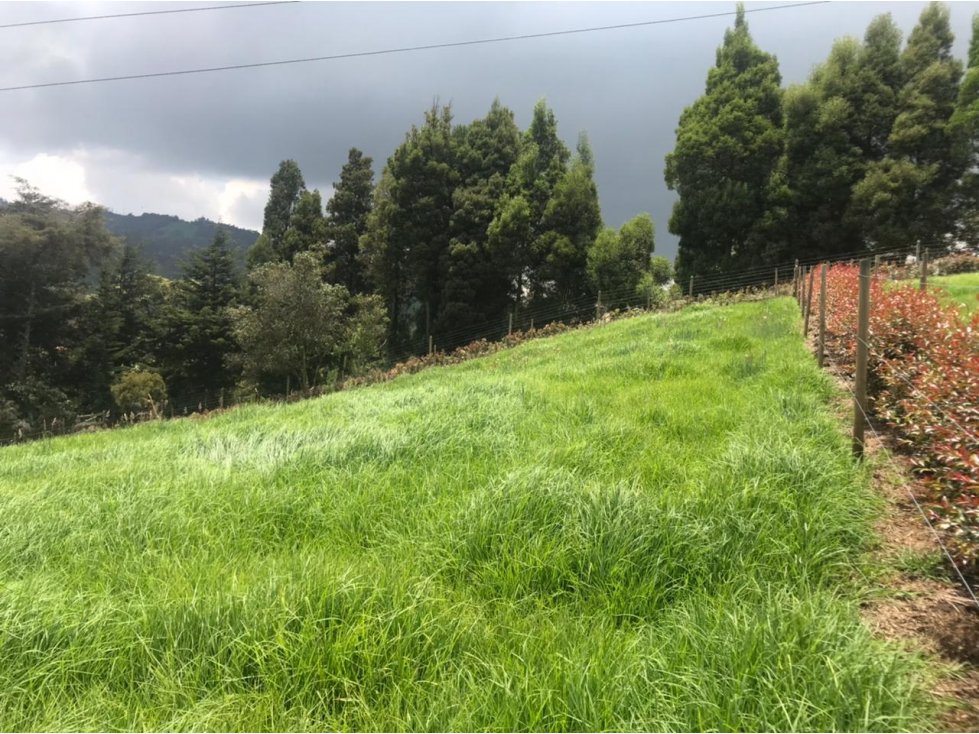 Lote en Venta en San Pedro de los Milagros Vereda La Pulgarina — foto 6