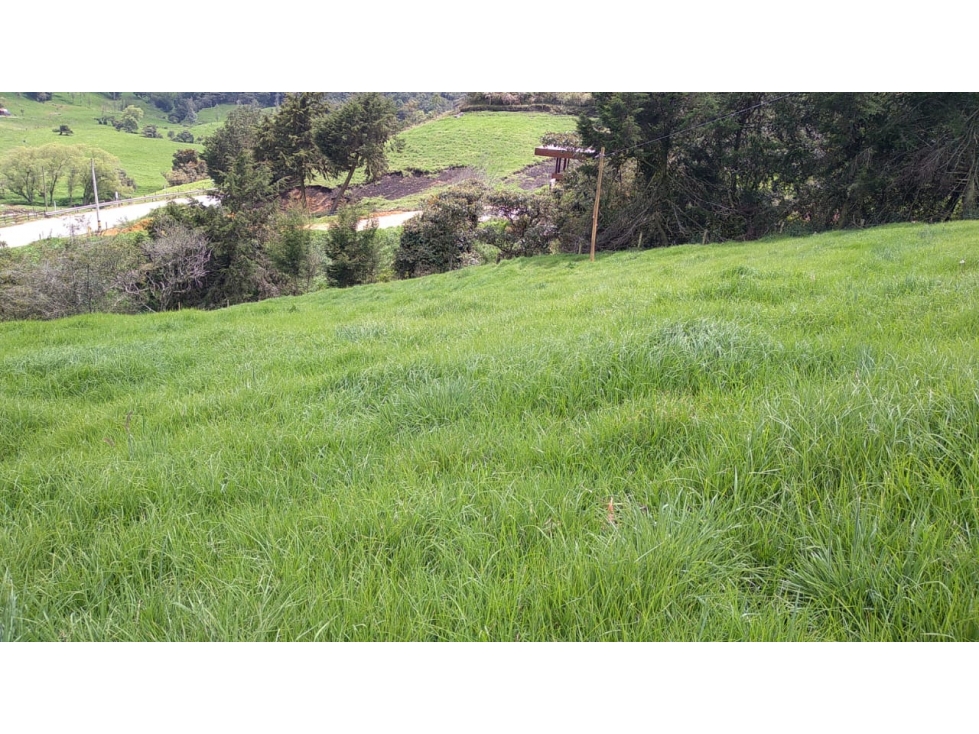 Lote en Venta en San Pedro de los Milagros Vereda La Pulgarina — foto 5