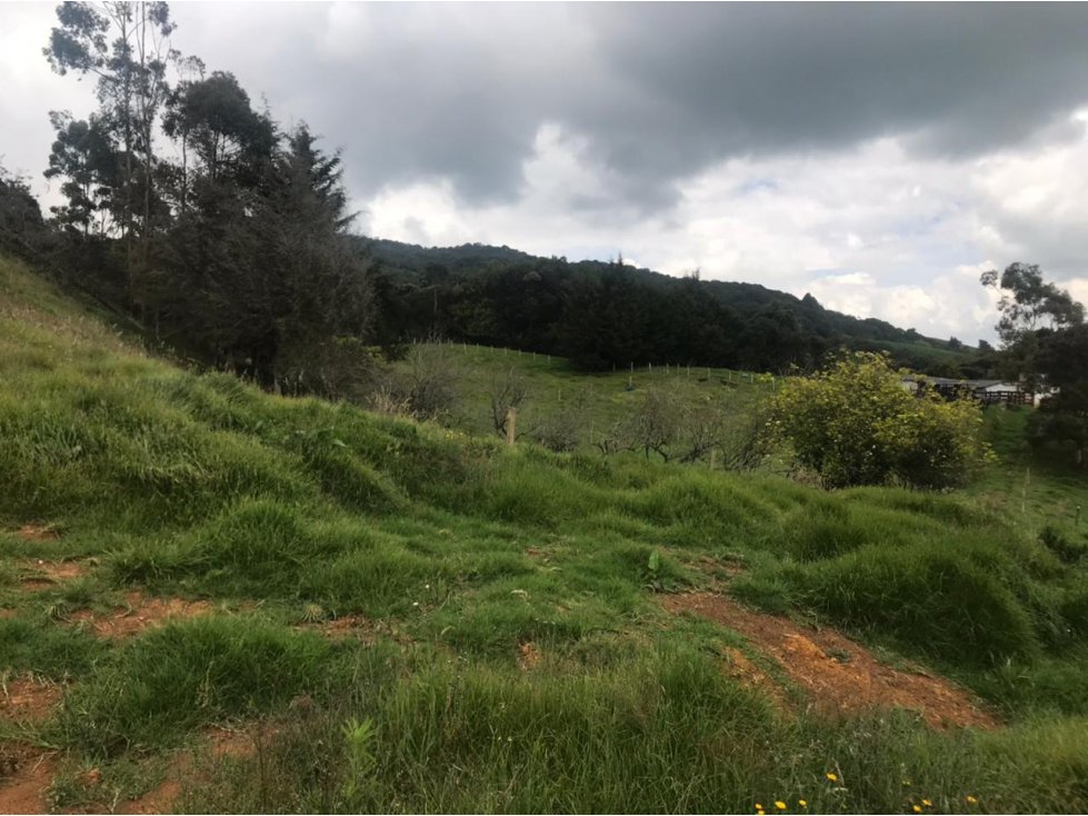 Lote en Venta Vereda La Pulgarina en San Pedro de los Milagros — foto 3