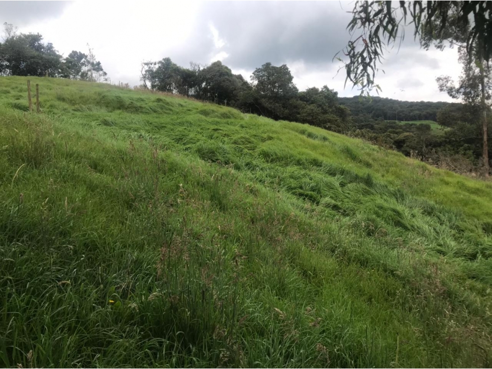 Lote en Venta Vereda La Pulgarina en San Pedro de los Milagros — foto 2