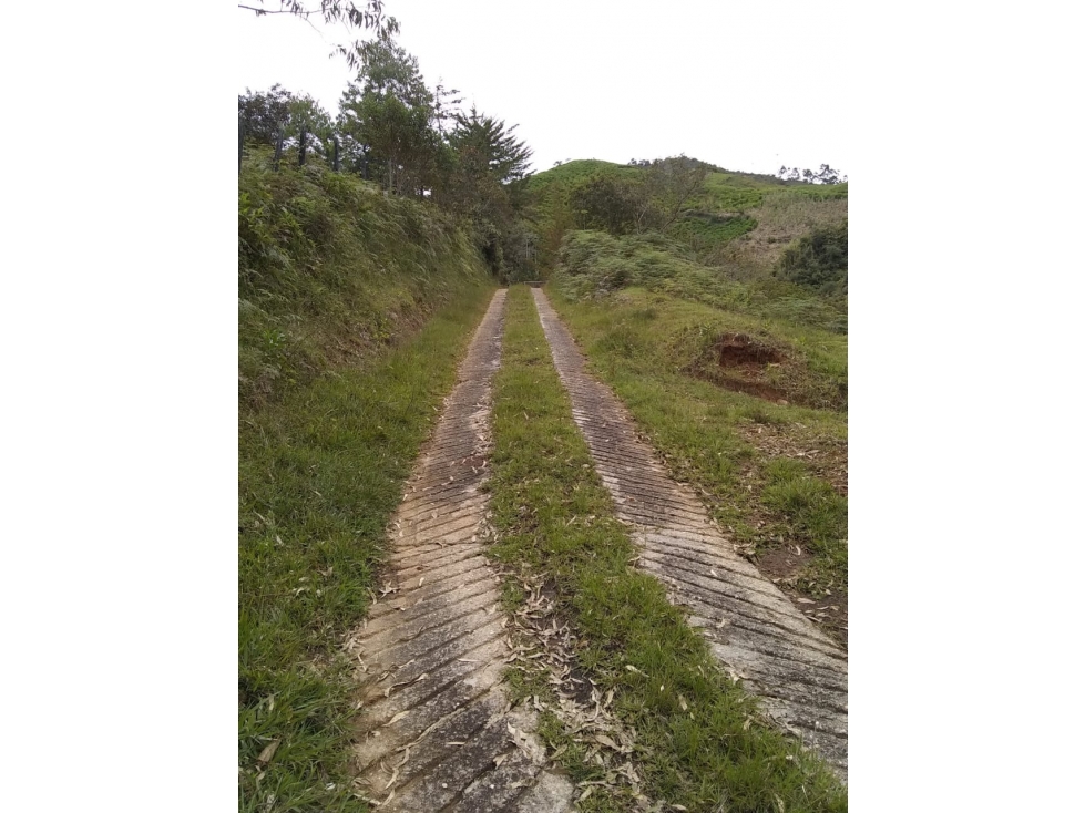 Lote en Venta vereda Guamito en El Peñol - 6